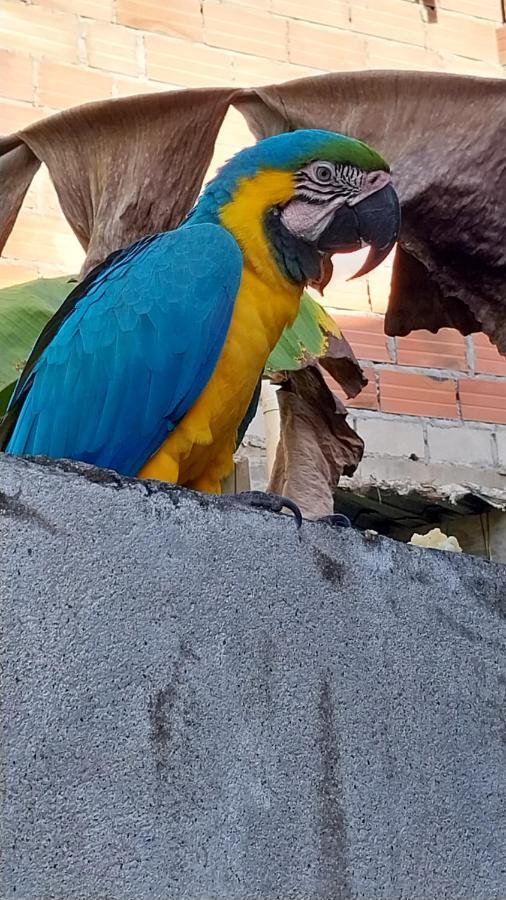 Guest house Mi Refugio Tayrona *